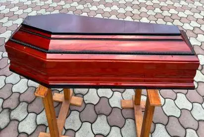 Model Bile